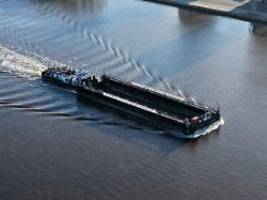 ruhe statt bergung: forscher raten von transport des wals dringend ab