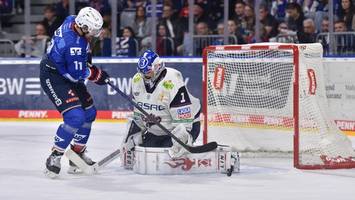 Eisbären: Glänzender Frühstarter, glückloser Spätzünder