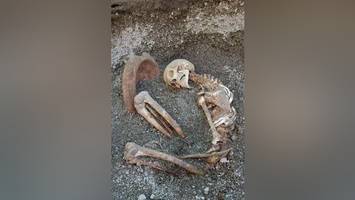 flucht vor dem vulkanausbruch: forscher machen beklemmenden fund in pompeji