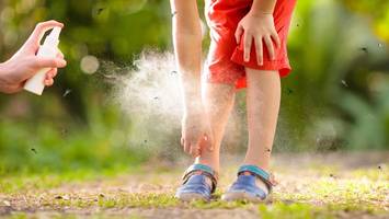 denguefieber nach malediven-urlaub: rki schlägt alarm