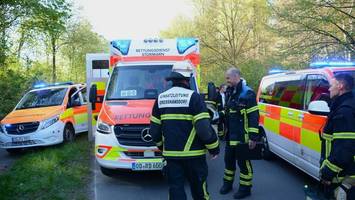 zwei personen bewusstlos im wald entdeckt: was bisher bekannt ist