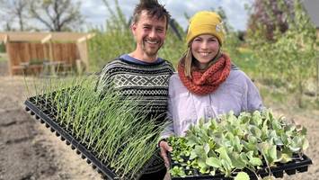 Gemüse anbauen: Auenhofbetreiber verpachten Parzellen für die Selbsternte