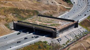 Größte Wildbrücke der Welt wird 2026 eröffnet und kostet 97 Mio. Euro: „Die Tierwelt reagiert bereits darauf“