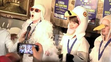 Imitieren Vögel: So klingt es auf Möwenschrei-Meisterschaft