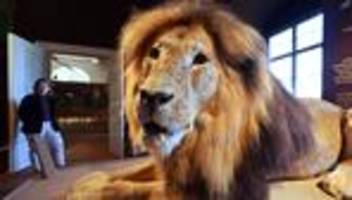 Historisch bedeutend: »Meilenstein« für Barrierefreiheit und Schloss-Sanierung