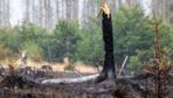 Wetter: Gefahr von Waldbränden in Thüringen steigt