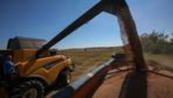 ukraine: selenskyj kritisiert transporte »gestohlenen« getreides nach israel