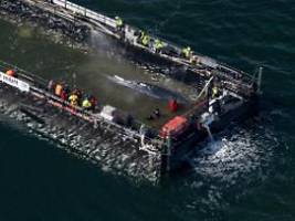 Kurs auf Insel Fehmarn: Schlepper zieht Barge mit Buckelwal in die offene See