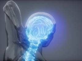 Neue Therapien möglich: Schaltkreis für chronischen Schmerz im Gehirn entdeckt