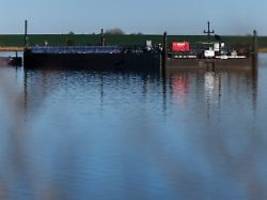 Tierärzte genehmigen Transport: Helfer wollen Buckelwal in Lastkahn lenken