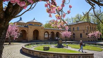 ausflugstipp zur kirschblüte: ein biotop mit 1000 geschichten