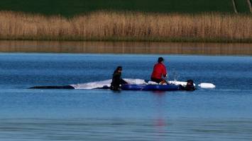Timmy oder Hope? Warum der Ostsee-Wal gleich zwei Namen hat