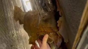 „Wenn Fred Feuerstein plötzlich fährt…“: Berliner Polizei stoppt maroden Ford