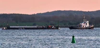 ostsee-wal-news heute: keine walrettung an dänemarks küste