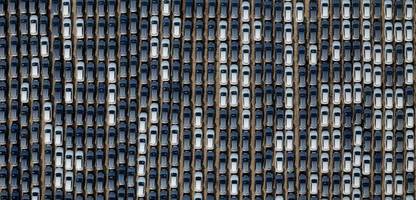 China: Autobauer BYD erleidet herben Gewinneinbruch