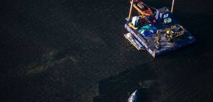 wal in der ostsee: wie den walrettern das mitgefühl abhanden kam