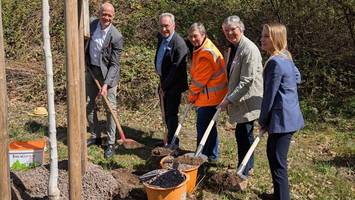 Historische Chaussee Altona–Kiel: Mehr als 2000 Bäume bereits eingepflanzt