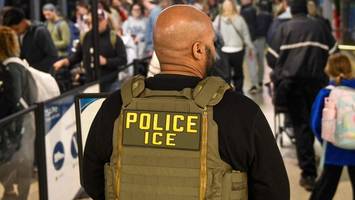 ice zu nice: trump unterstützt absurde namensänderung der behörde