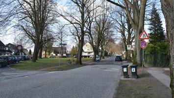 Stadt will 38 Bäume fällen – für eine Straßensanierung