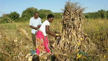 straße von hormus: „das risiko einer globalen hungerkrise ist sehr hoch“