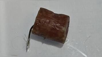 Unbekannter verteilt Wurststücke mit Angelhaken an beliebtem Spazierweg