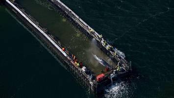 wal-rettung bei poel: lastkan-transport in die nordsee hat begonnen