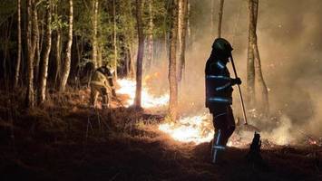 waldbrand sorgt für großeinsatz in henstedt-ulzburg: feuerwehr setzt drohnen ein