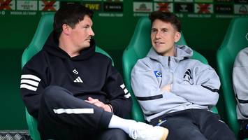 bvb hat hsv-trainer im blick: Öffnet sich die tür?
