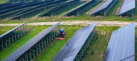 hühner, die unter solaranlagen nach würmern picken – ja bitte!