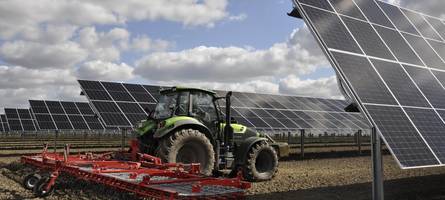 solaranlagen, unter denen rinder grasen? reiche will sonder-förderung streichen
