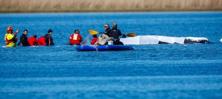 Rettungsaktion für Timmy ist gestartet: Der Wal befindet sich im Lastkahn