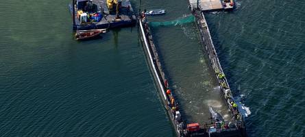 Rettungsaktion für Timmy läuft weiter: Der Wal befindet sich im Lastkahn