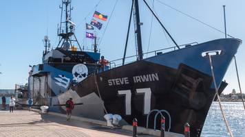 naturschutz-comeback für 10 dollar: anti-walfangschiff segelt nach jahren wieder für die umwelt