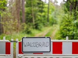 Erhöhte Waldbrandgefahr: In weiten Teilen Bayerns gilt bereits die zweithöchste Warnstufe
