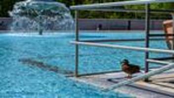 Ab 1. Mai: Das ist zum Start der Freibadsaison für Schwimmfans wichtig