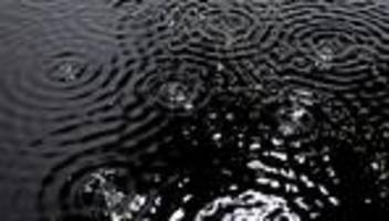 biennale: »dass sich das nach 80 jahren wiederholt, ist für mich unglaublich«