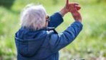 Bundeskabinett: Renten steigen um 4,24 Prozent