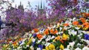 Monatsbilanz: April zu trocken und milder als in früheren Jahren