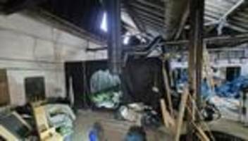 Rauschgift: Illegale Cannabisplantage in Remscheid – Festnahmen