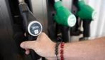 Statistik: Verbraucherpreise in Sachsen-Anhalt steigen um 3,1 Prozent