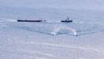 Wal-Transport im Stahlbecken: Meeresmuseum warnt vor Abladen des Wals im offenen Meer