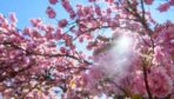 Wetter-Bilanz: April in Sachsen-Anhalt besonders sonnenreich