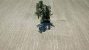 Wetter-Bilanz: Im April fiel im Mittel nur ein Drittel des Regensolls