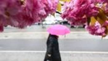 Wetter-Bilanz: Viel Regen im April in Berlin und Brandenburg