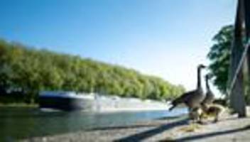 Wetter-Vorhersage: Sommertage in Sicht - 25-Grad-Marke wird geknackt