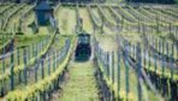 wetter im südwesten: aprilende bringt sonne - und wie wird das wetter am 1. mai?