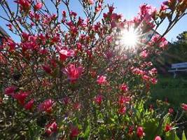 Gebietsweise Schauer möglich: Der Mai startet mit sommerlichen Temperaturen