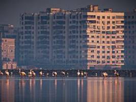 Journalistin ohne Mann gereist: Hotelmanager verweigert Frau Check-in und wird inhaftiert