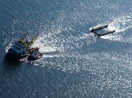 Vorbei an Fehmarn: Mit Sonnensegel, ohne Futter: Wal bewegt sich auf Dänemark zu