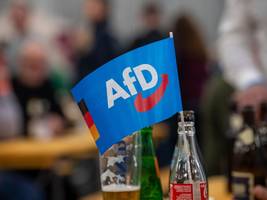 Landtag in Mainz: Rheinland-Pfalz will die AfD per Verfassungsänderung ausbremsen